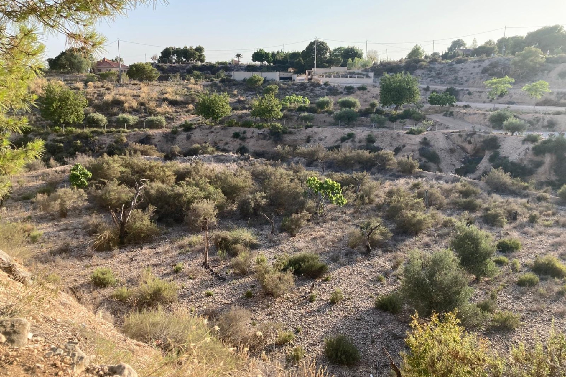 Herverkoop - Finca Landelijk pand -
Crevillente