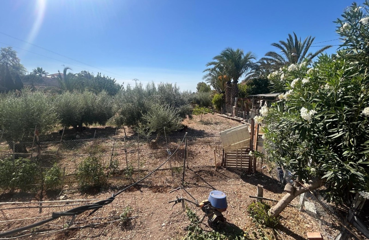 Herverkoop - Finca Landelijk pand -
Crevillente