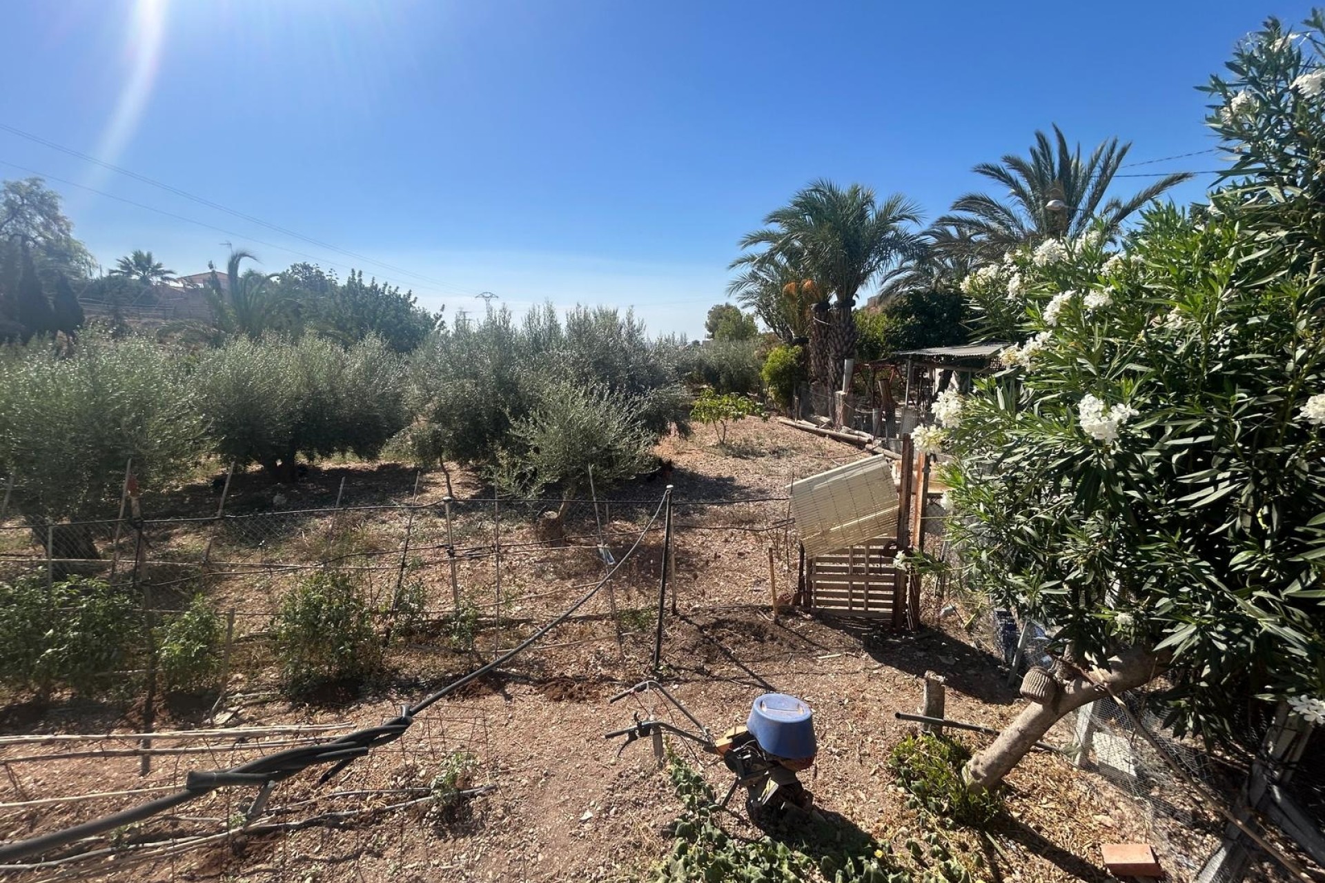 Herverkoop - Finca Landelijk pand -
Crevillente