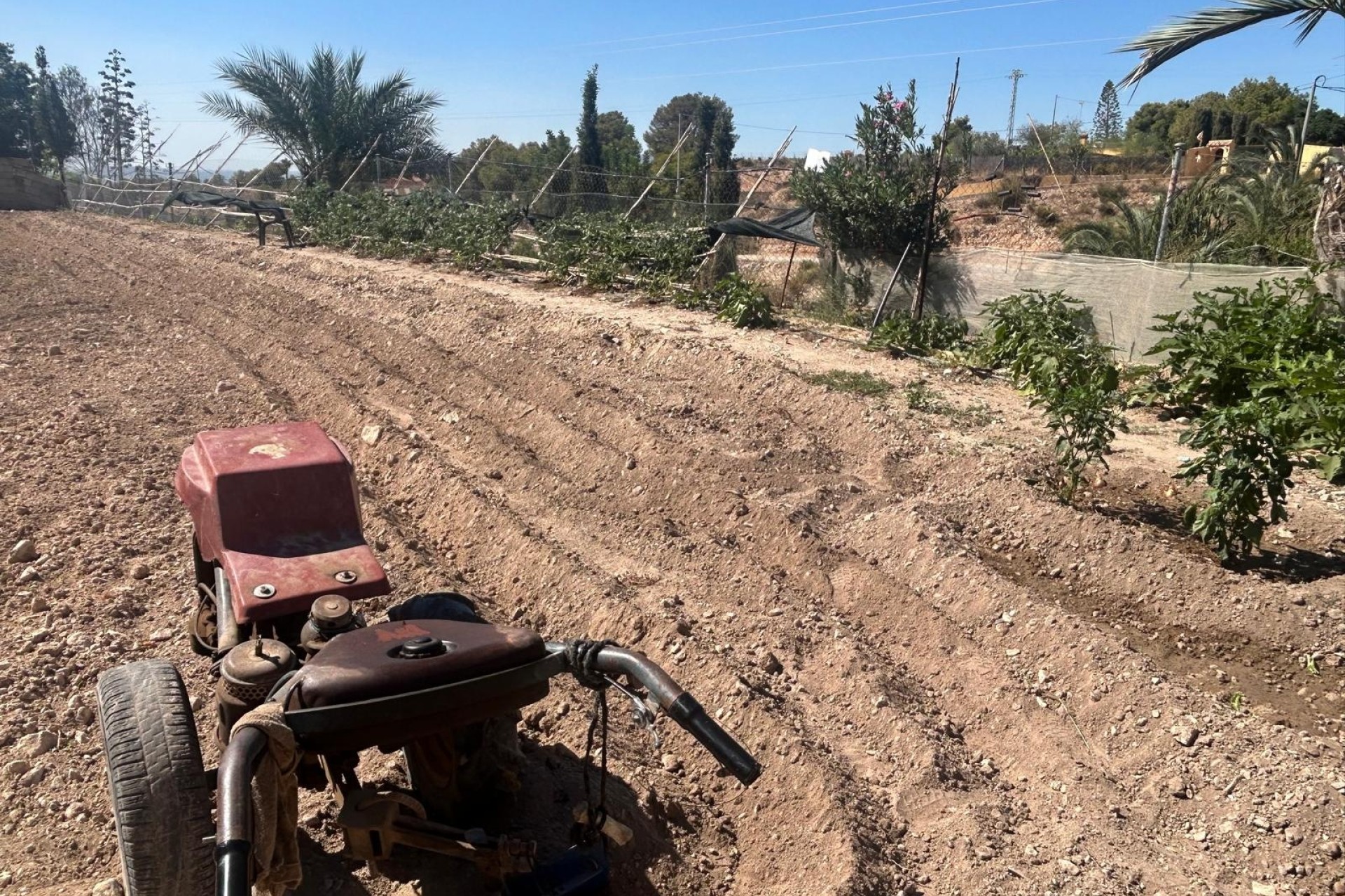 Herverkoop - Finca Landelijk pand -
Crevillente