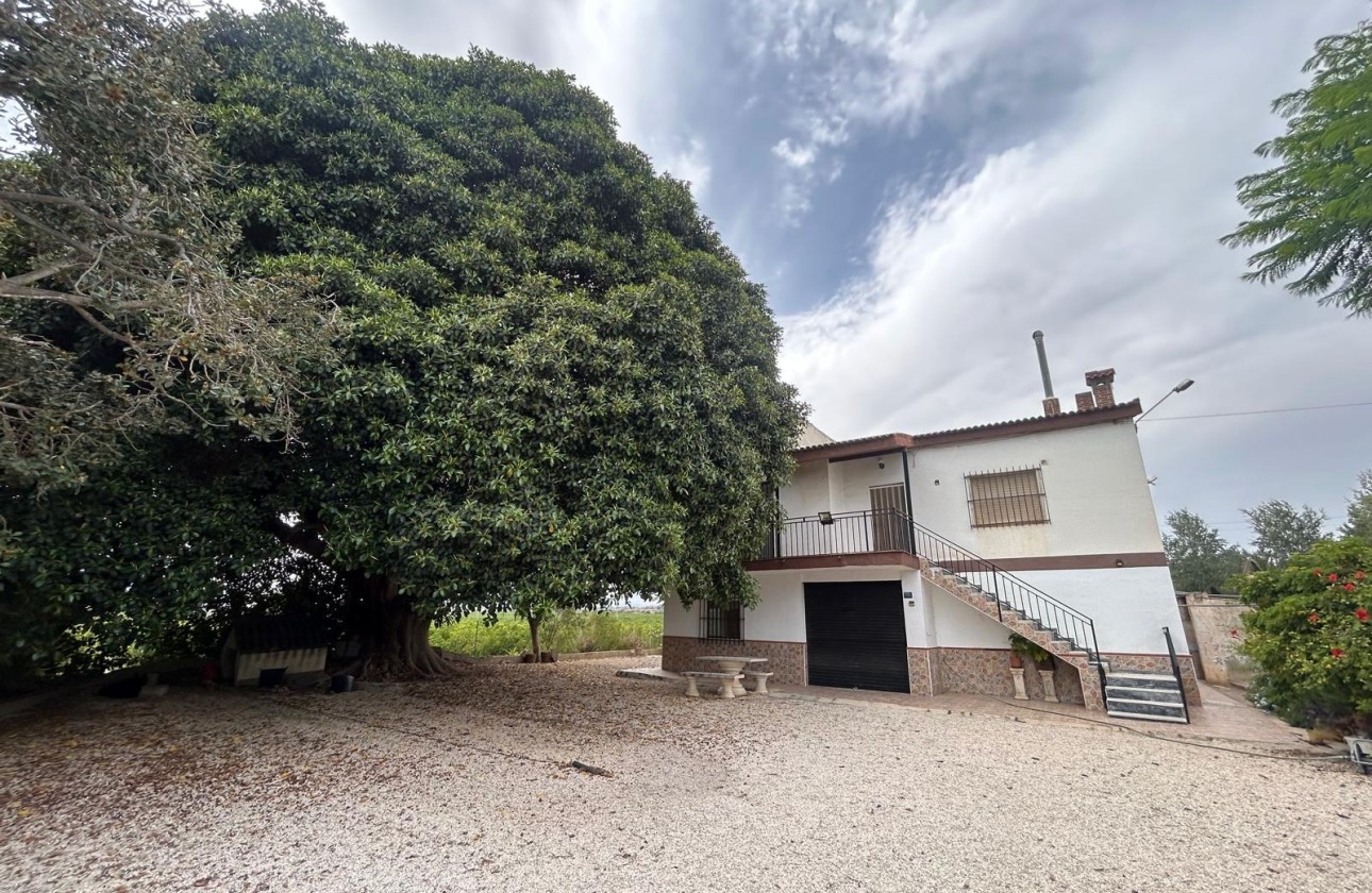 Herverkoop - Finca Landelijk pand -
Crevillente