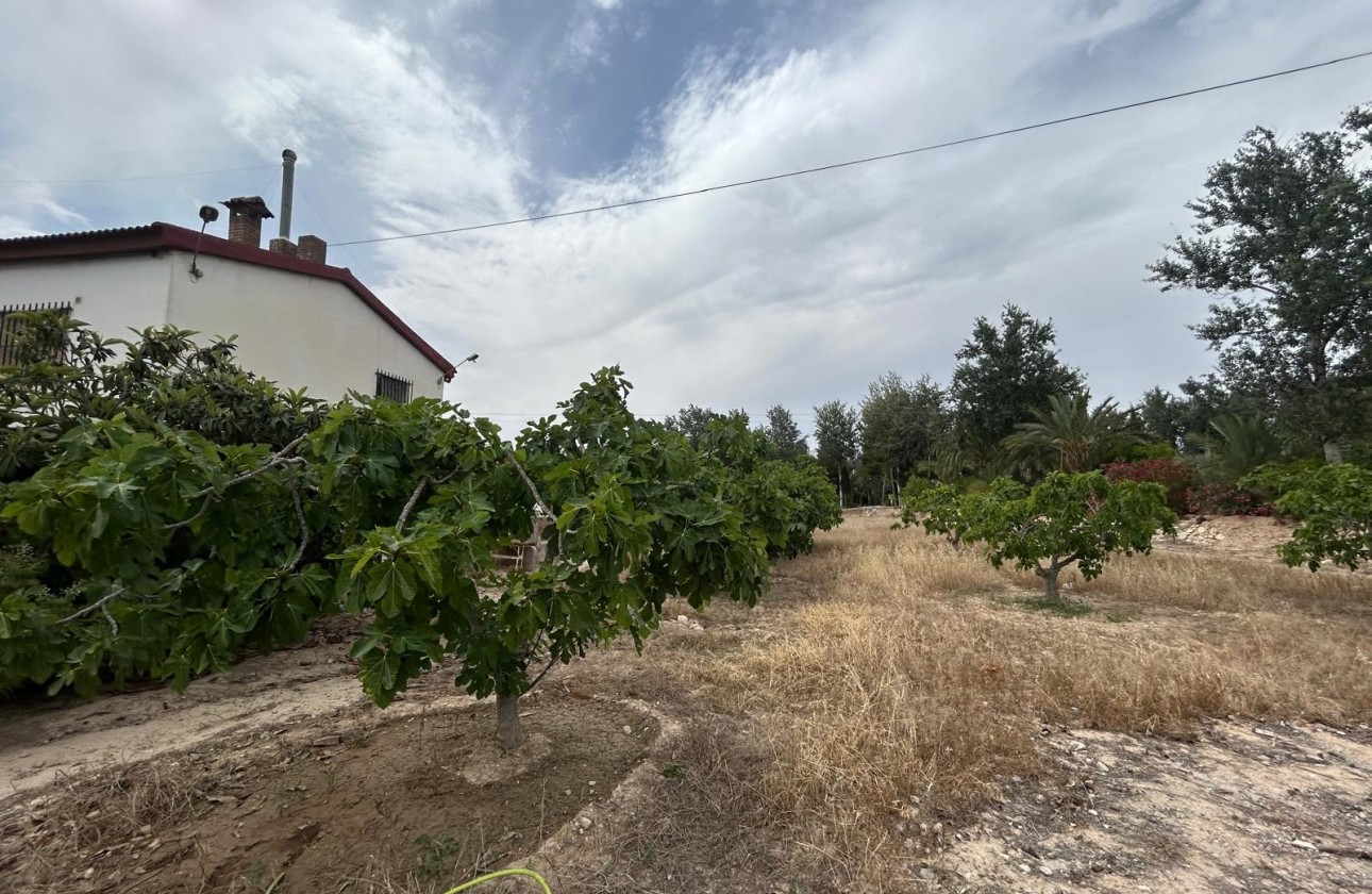 Herverkoop - Finca Landelijk pand -
Crevillente