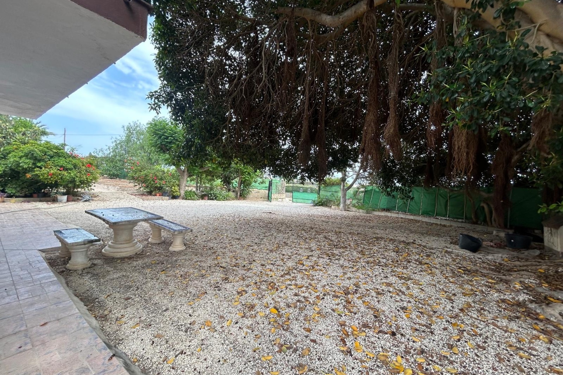 Herverkoop - Finca Landelijk pand -
Crevillente