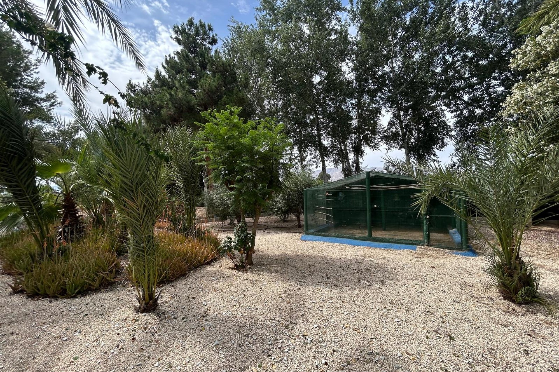 Herverkoop - Finca Landelijk pand -
Crevillente