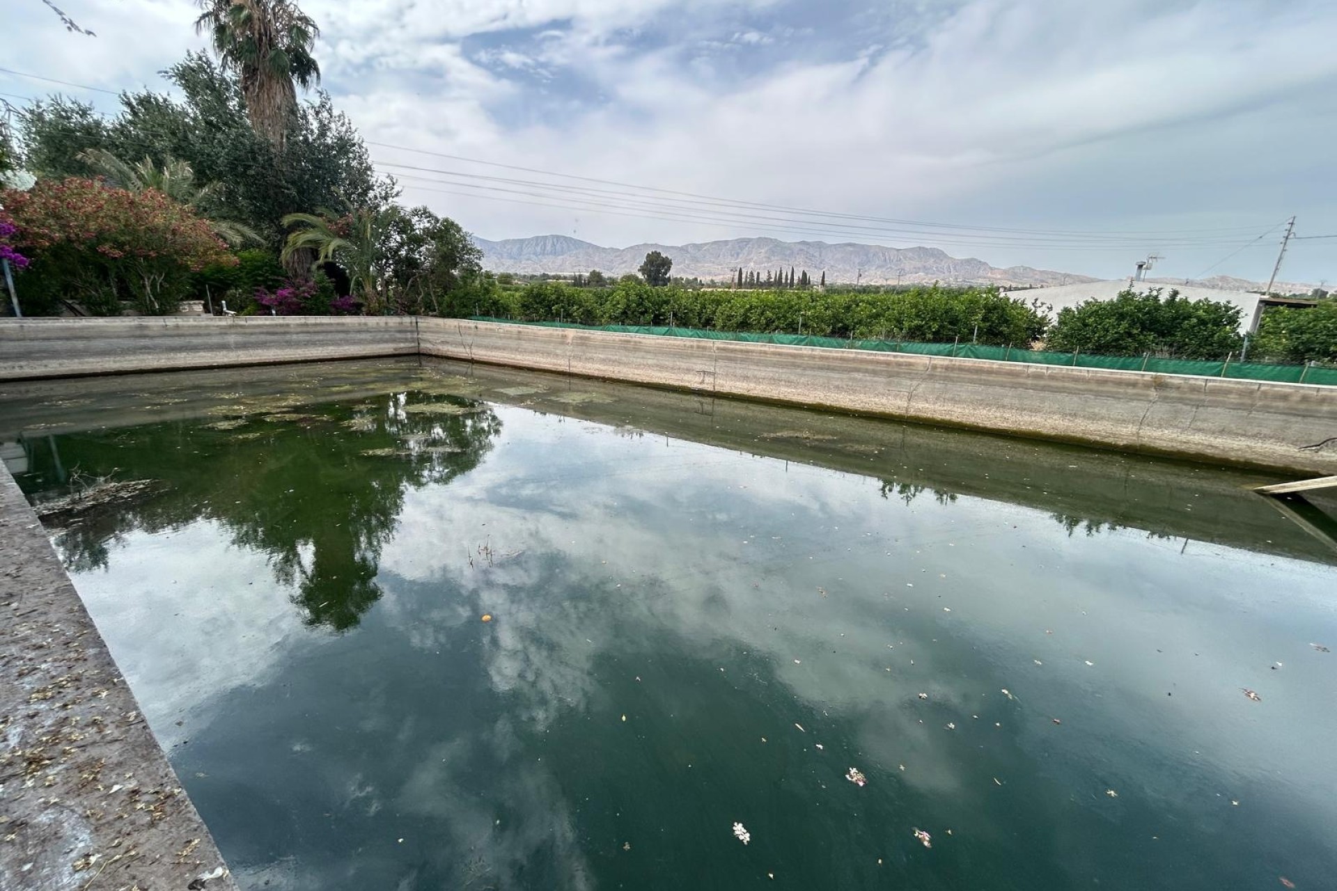 Herverkoop - Finca Landelijk pand -
Crevillente