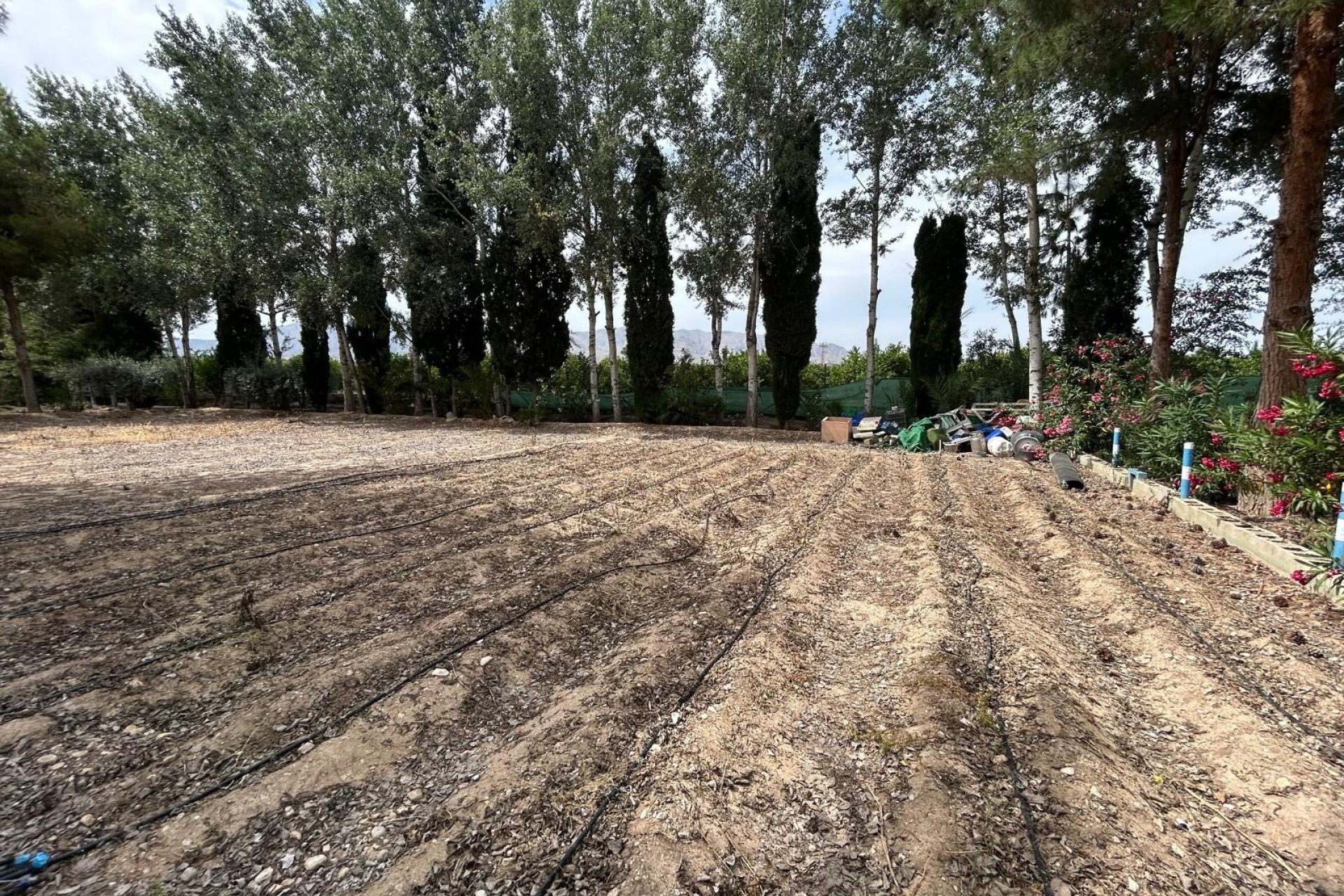 Herverkoop - Finca Landelijk pand -
Crevillente