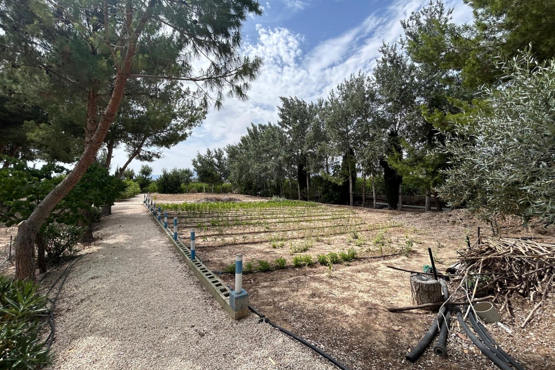 Herverkoop - Finca Landelijk pand -
Crevillente