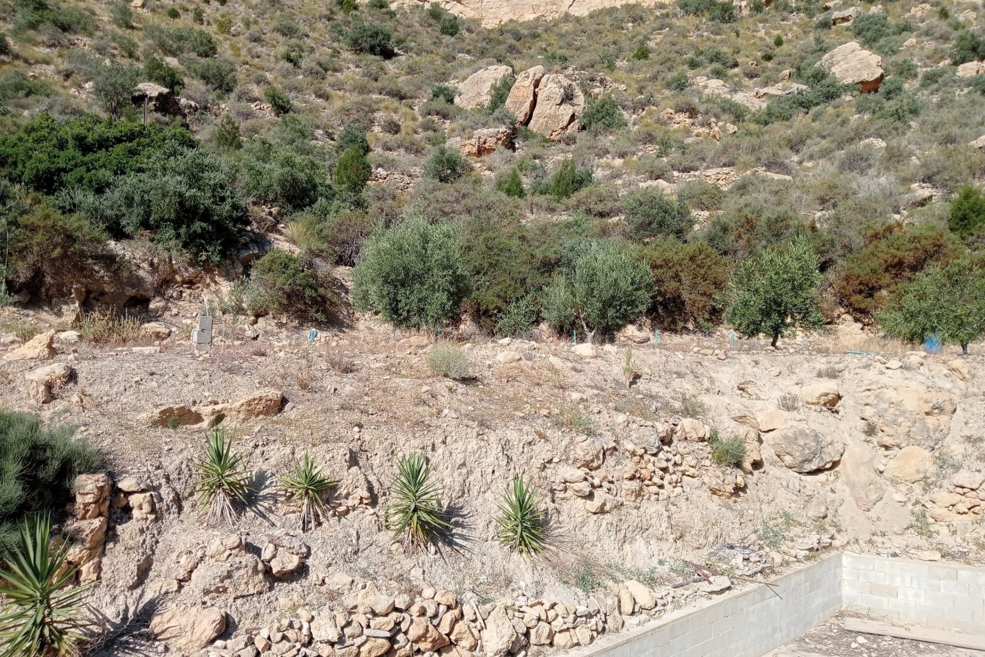 Herverkoop - Finca Landelijk pand -
Crevillente