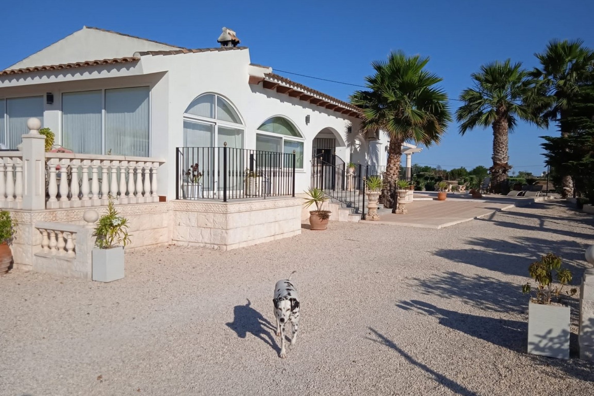 Herverkoop - Finca Landelijk pand -
Dolores