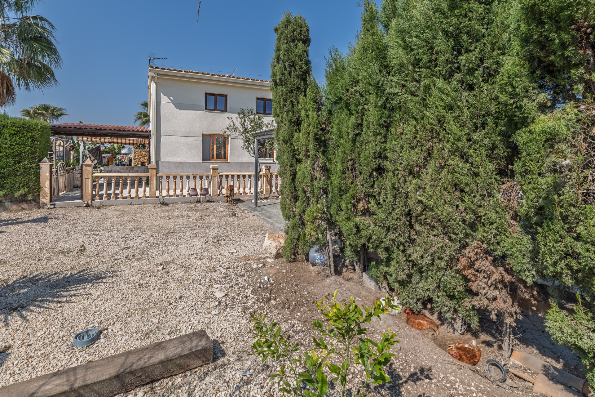 Herverkoop - Finca Landelijk pand -
Elche - Daimés