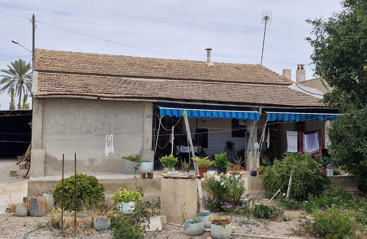 Herverkoop - Finca Landelijk pand -
Elche