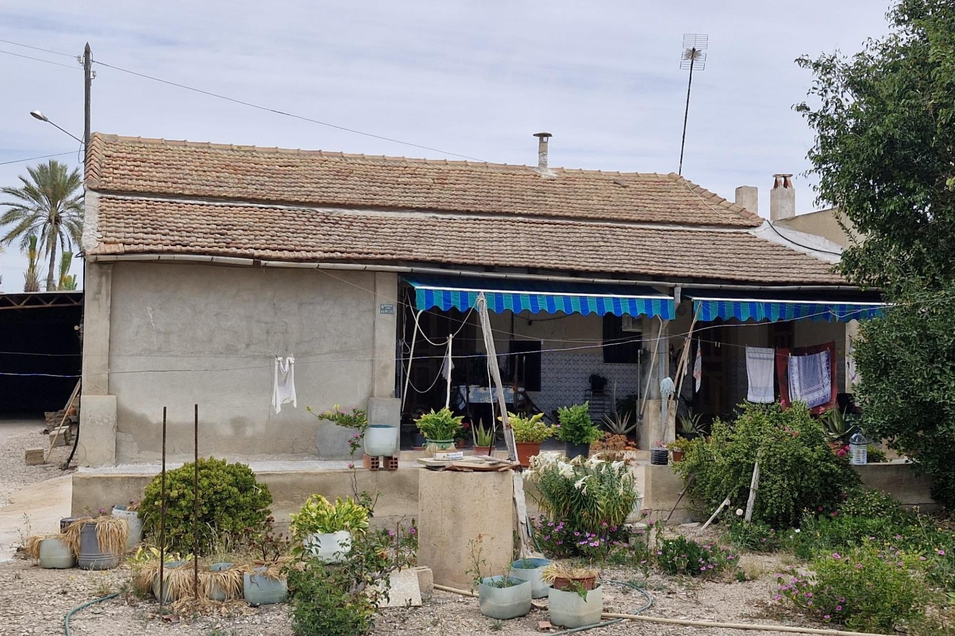 Herverkoop - Finca Landelijk pand -
Elche