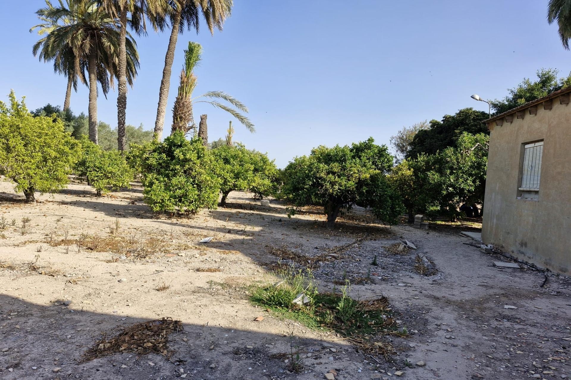 Herverkoop - Finca Landelijk pand -
Elche