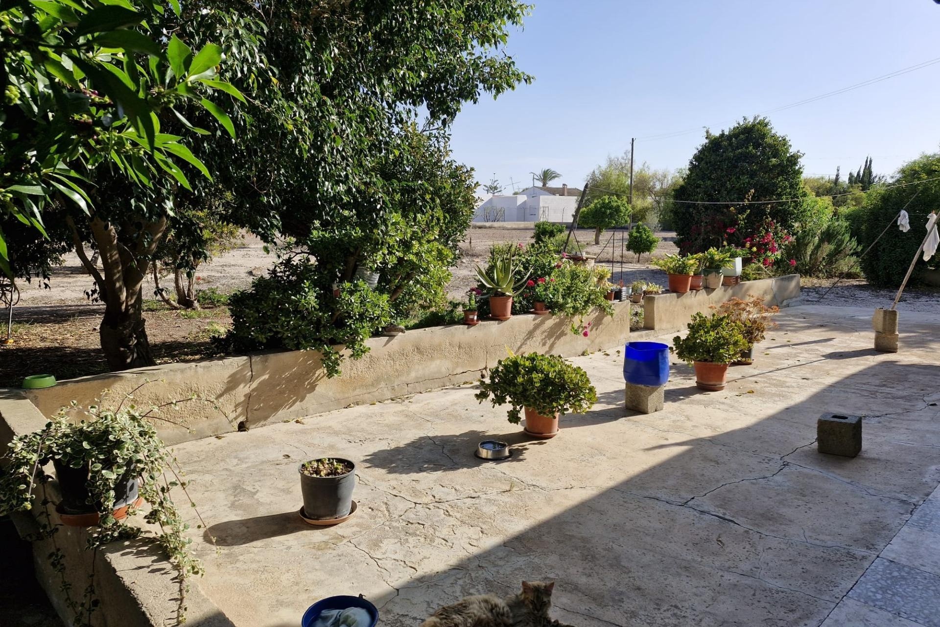 Herverkoop - Finca Landelijk pand -
Elche