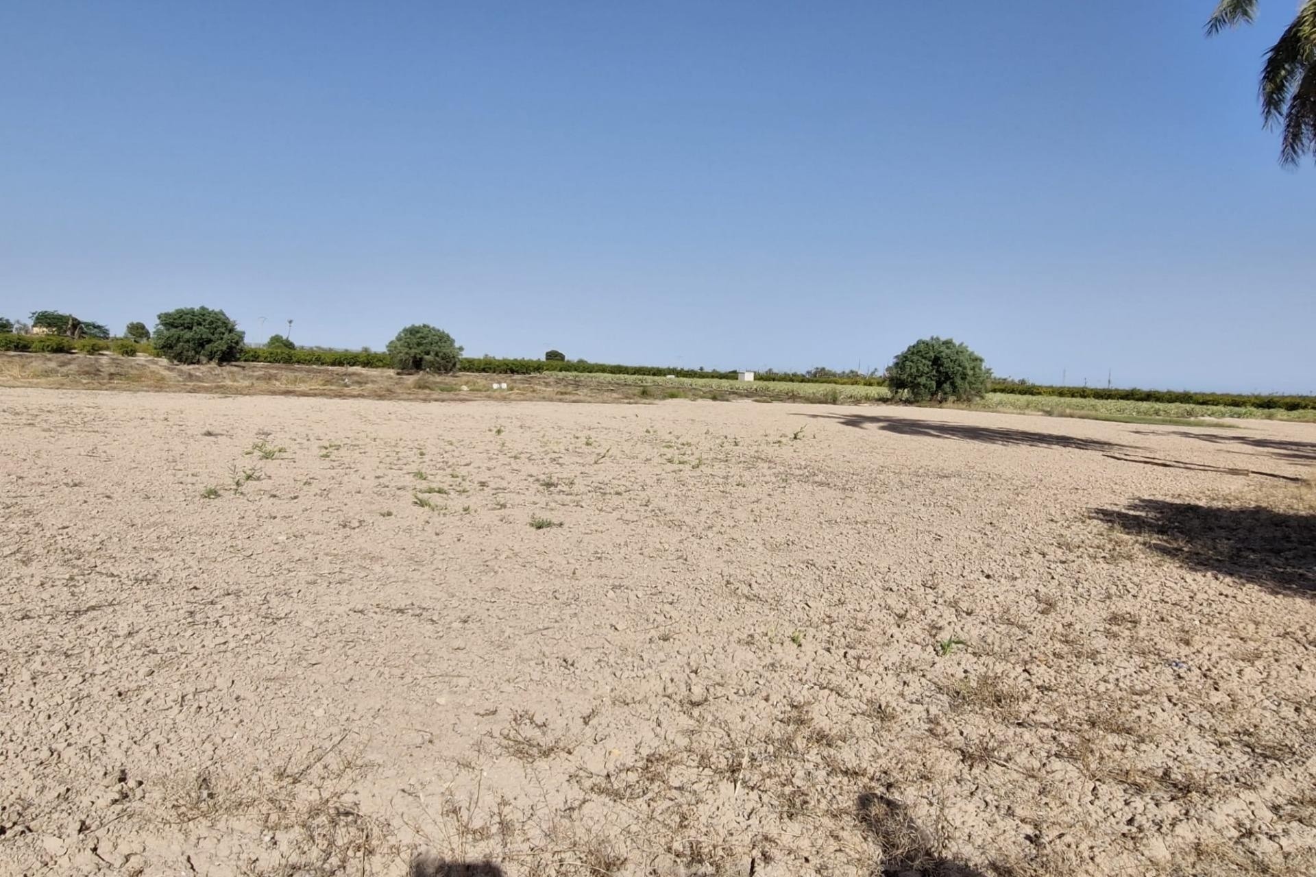 Herverkoop - Finca Landelijk pand -
Elche