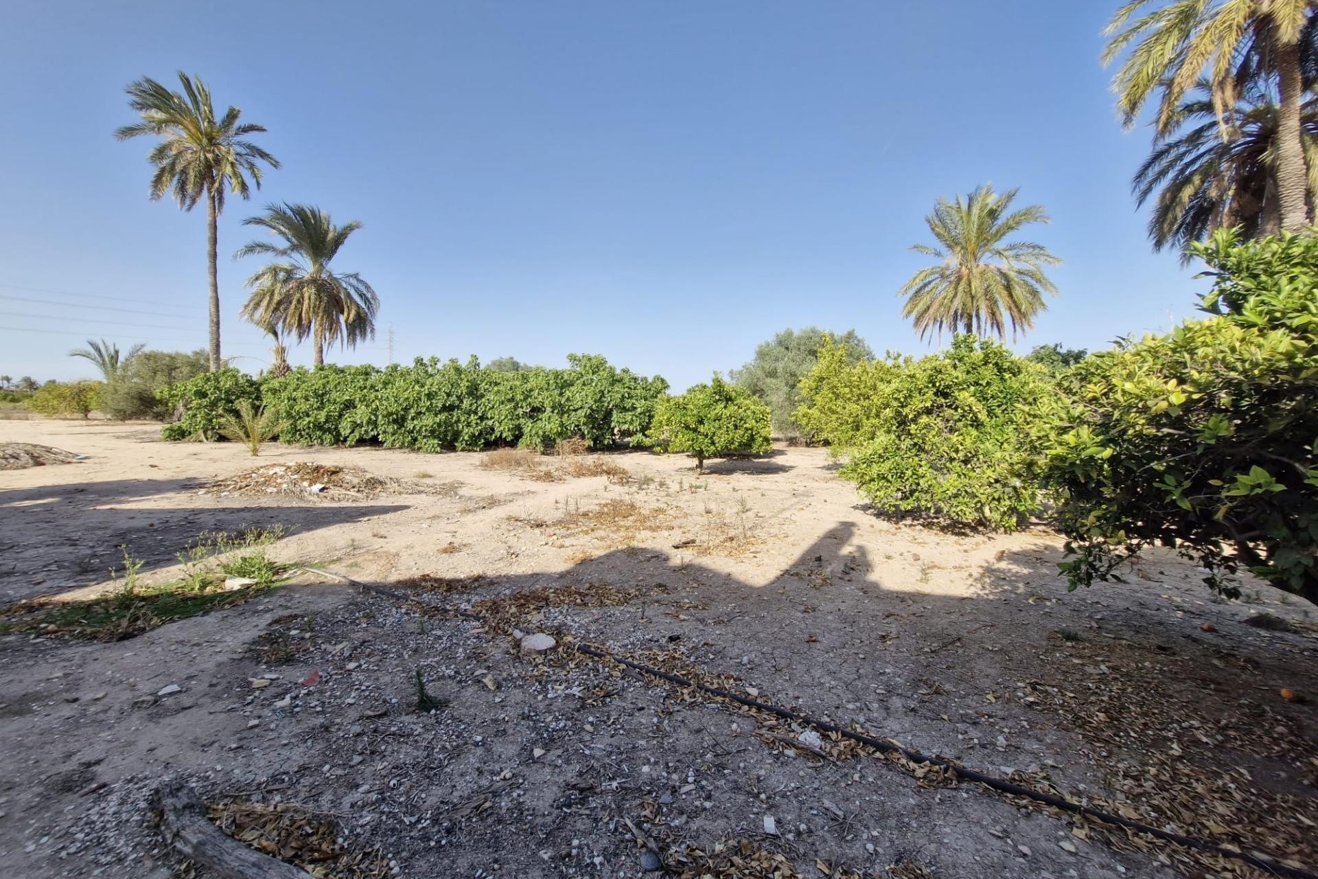 Herverkoop - Finca Landelijk pand -
Elche