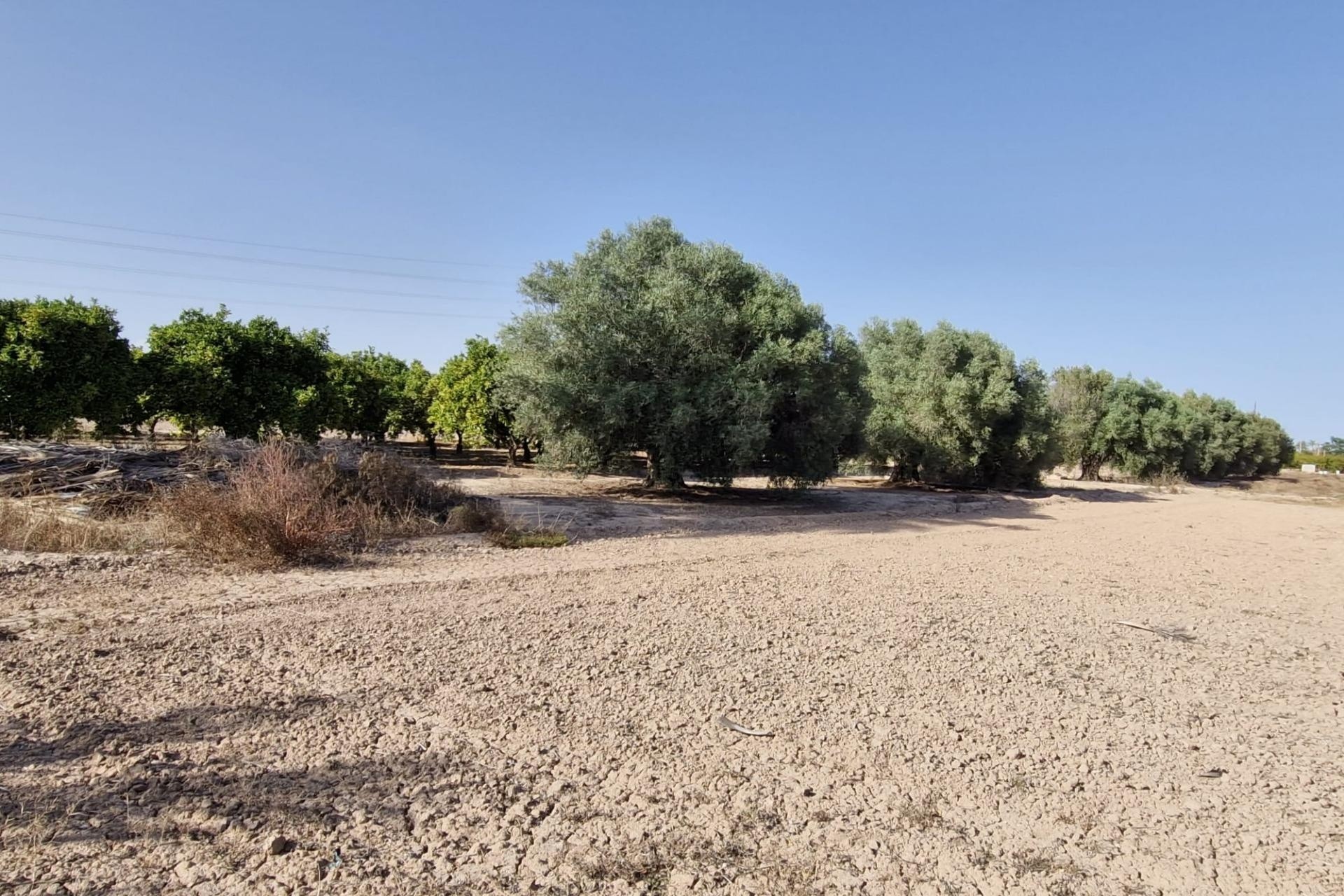 Herverkoop - Finca Landelijk pand -
Elche