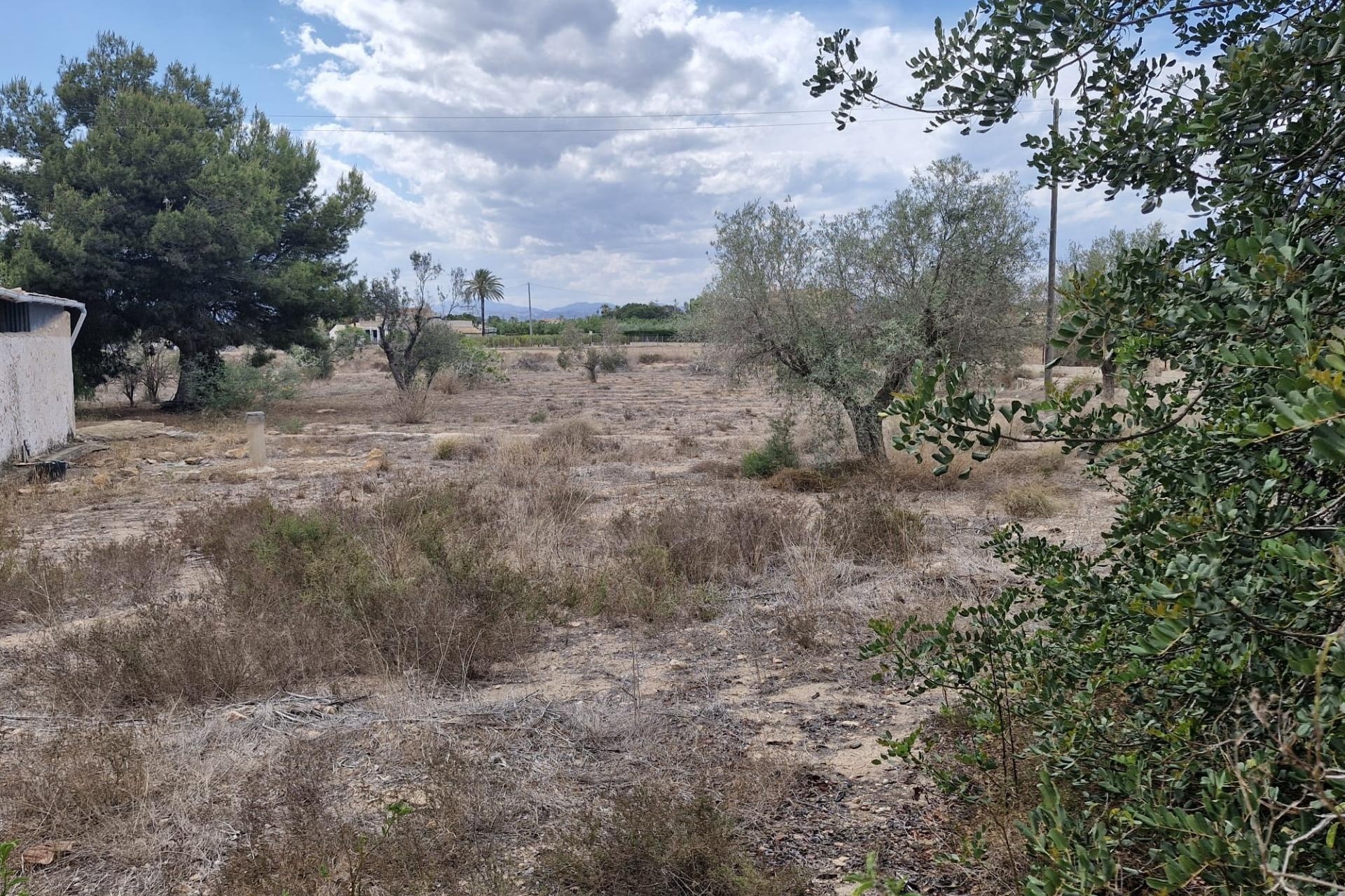 Herverkoop - Finca Landelijk pand -
Elche
