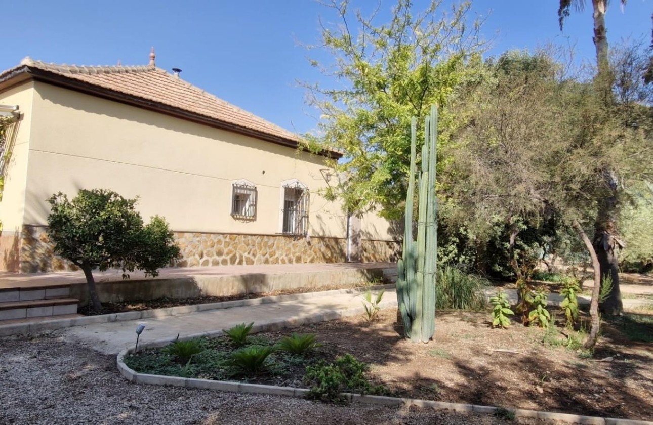 Herverkoop - Finca Landelijk pand -
Elche