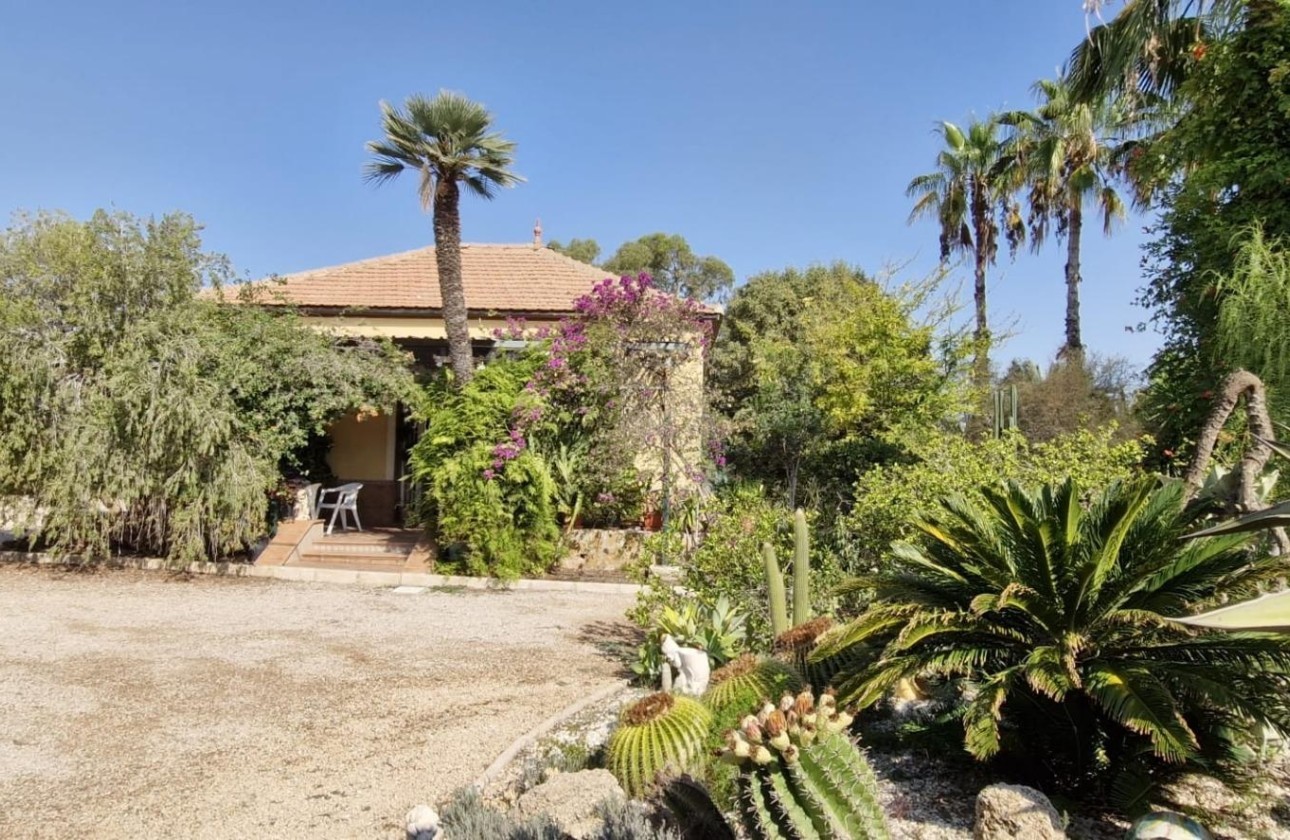 Herverkoop - Finca Landelijk pand -
Elche