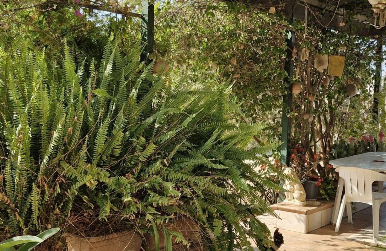 Herverkoop - Finca Landelijk pand -
Elche