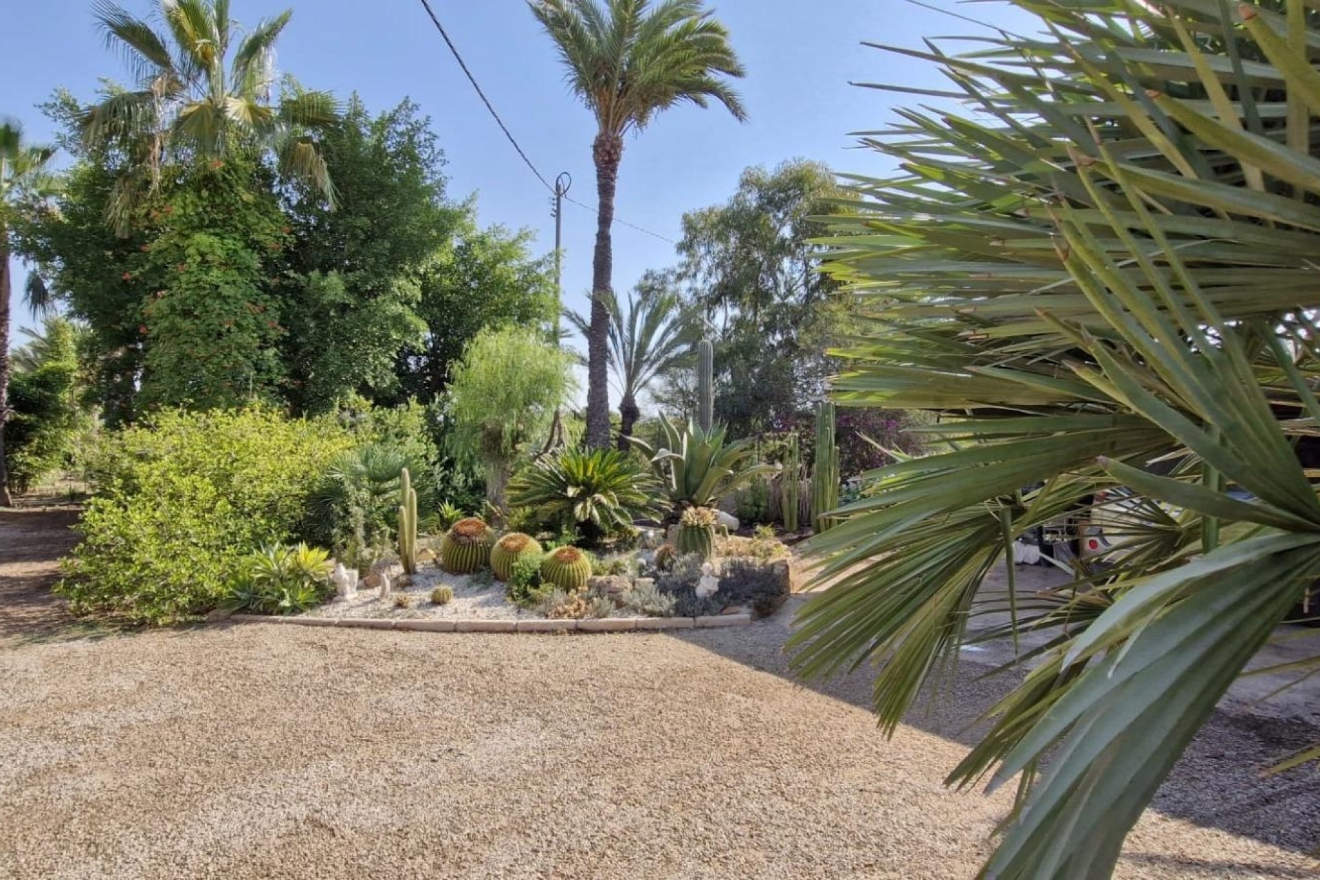 Herverkoop - Finca Landelijk pand -
Elche