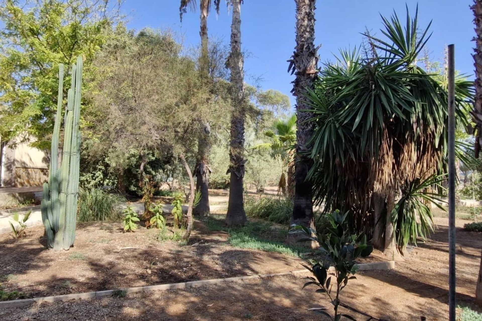 Herverkoop - Finca Landelijk pand -
Elche
