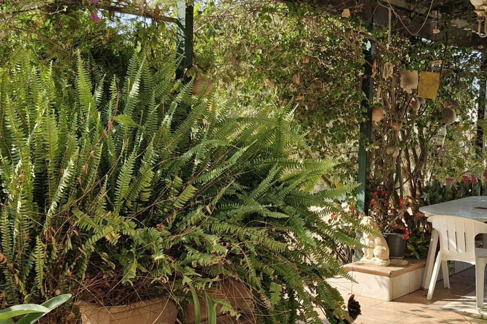 Herverkoop - Finca Landelijk pand -
Elche