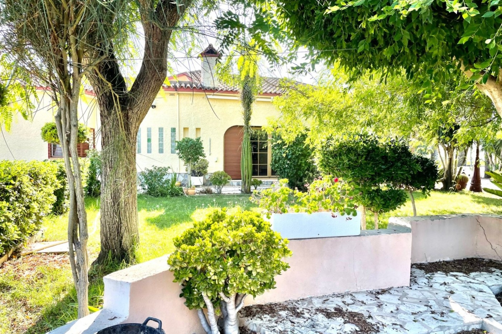 Herverkoop - Finca Landelijk pand -
Elche