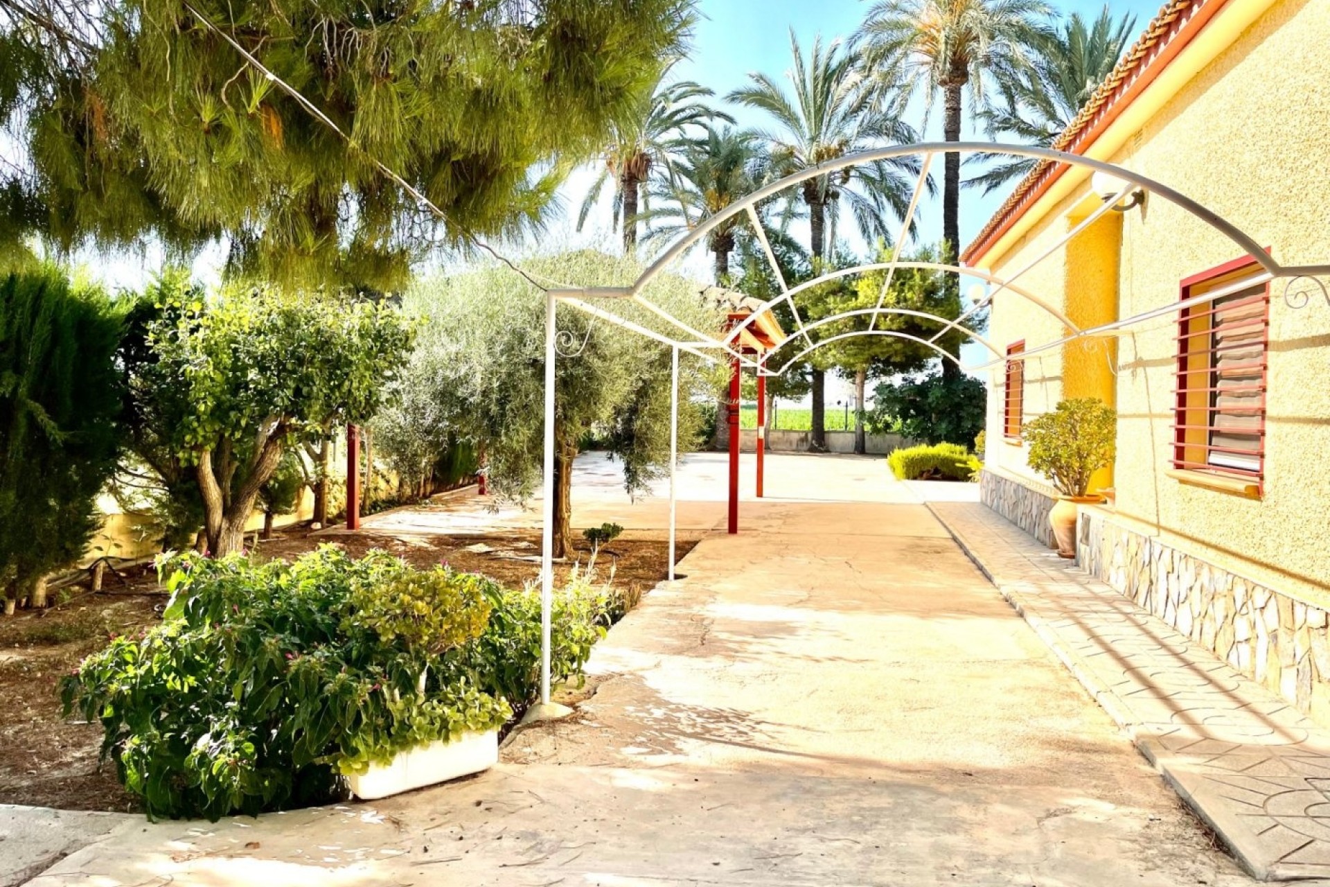 Herverkoop - Finca Landelijk pand -
Elche