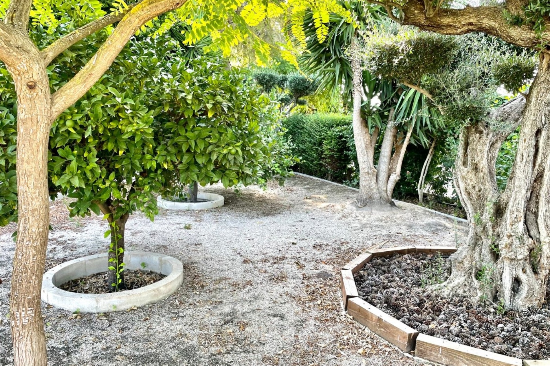 Herverkoop - Finca Landelijk pand -
Elche