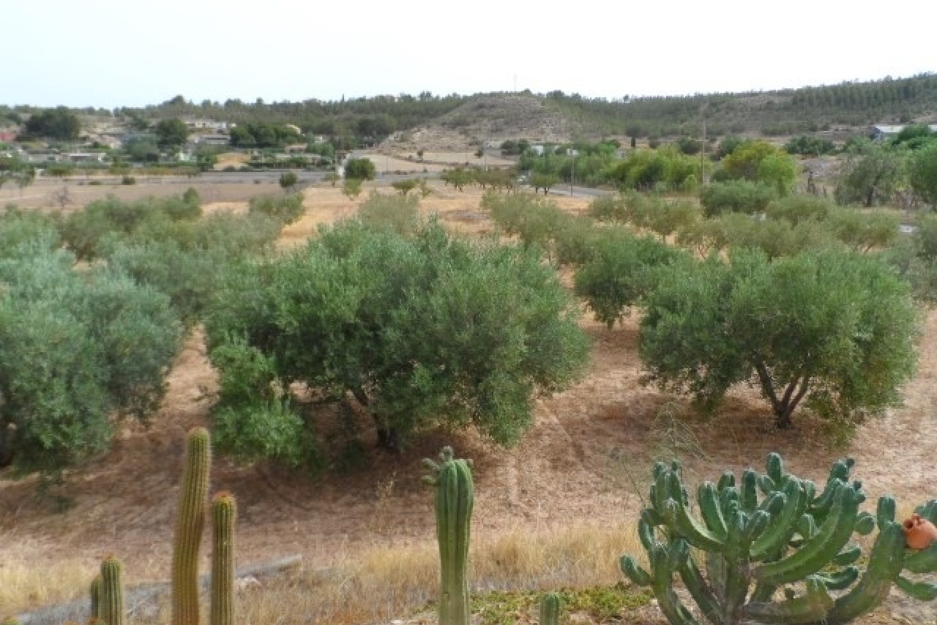 Herverkoop - Finca Landelijk pand -
Elche