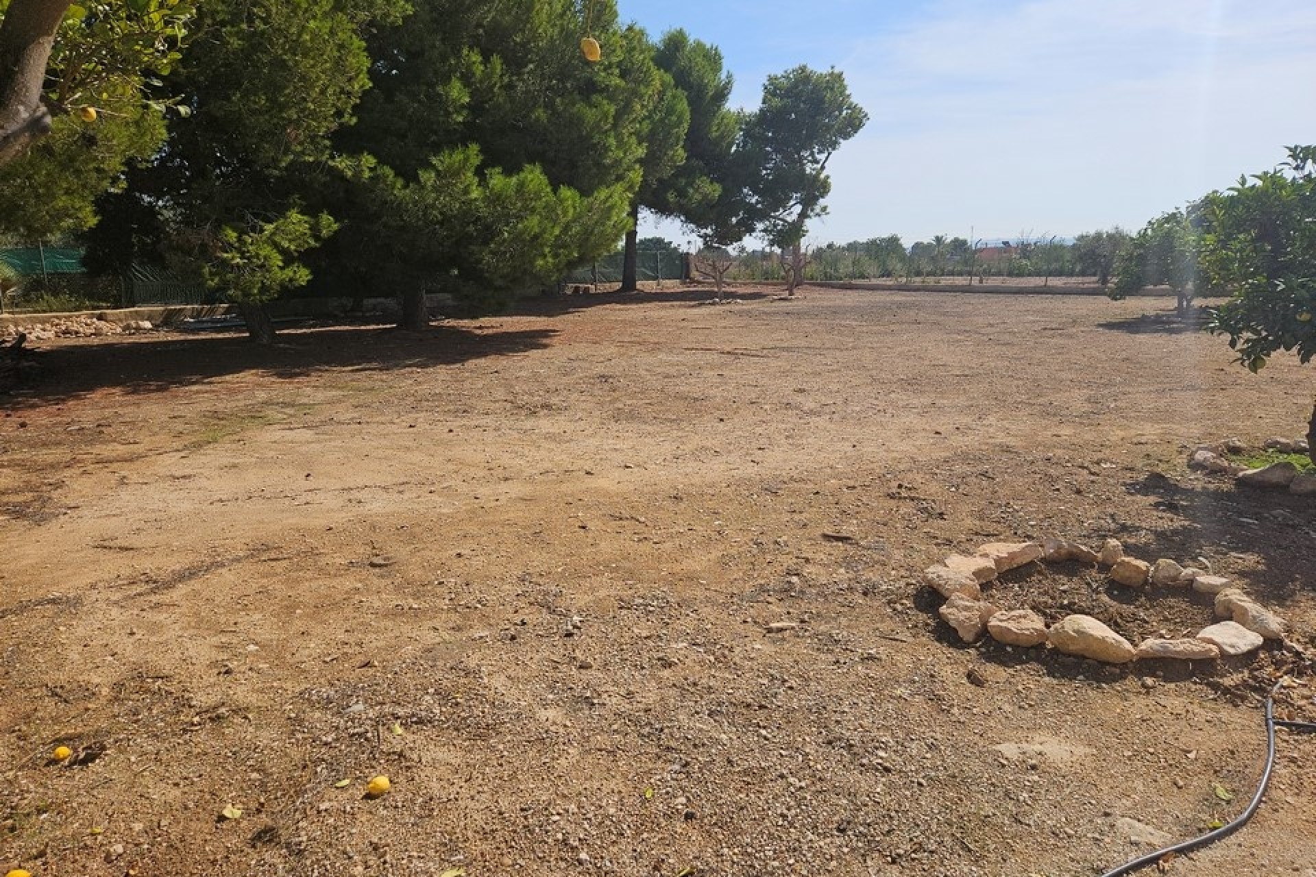 Herverkoop - Finca Landelijk pand -
Elche