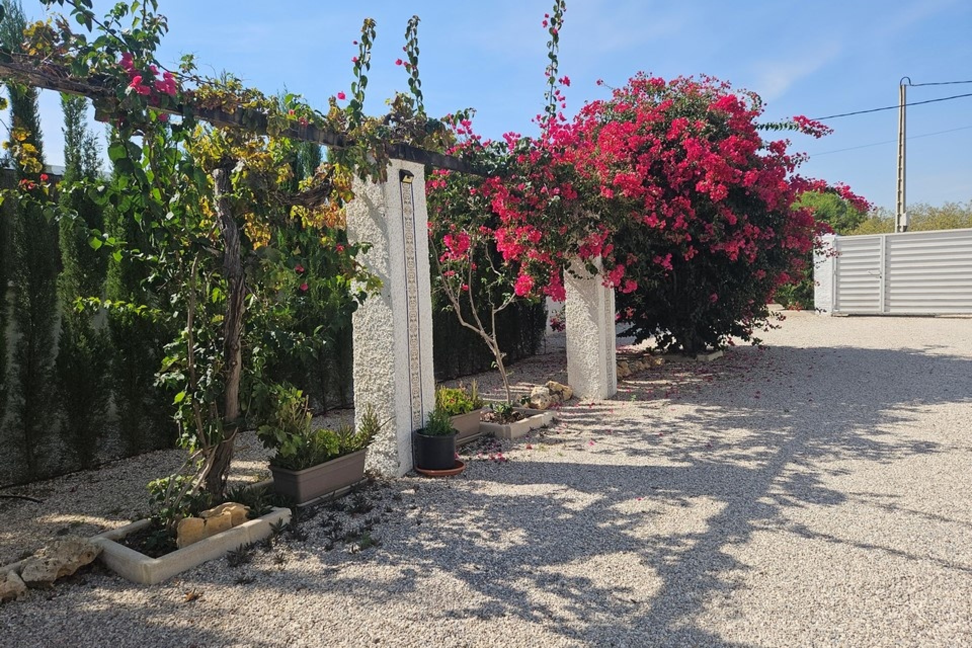 Herverkoop - Finca Landelijk pand -
Elche