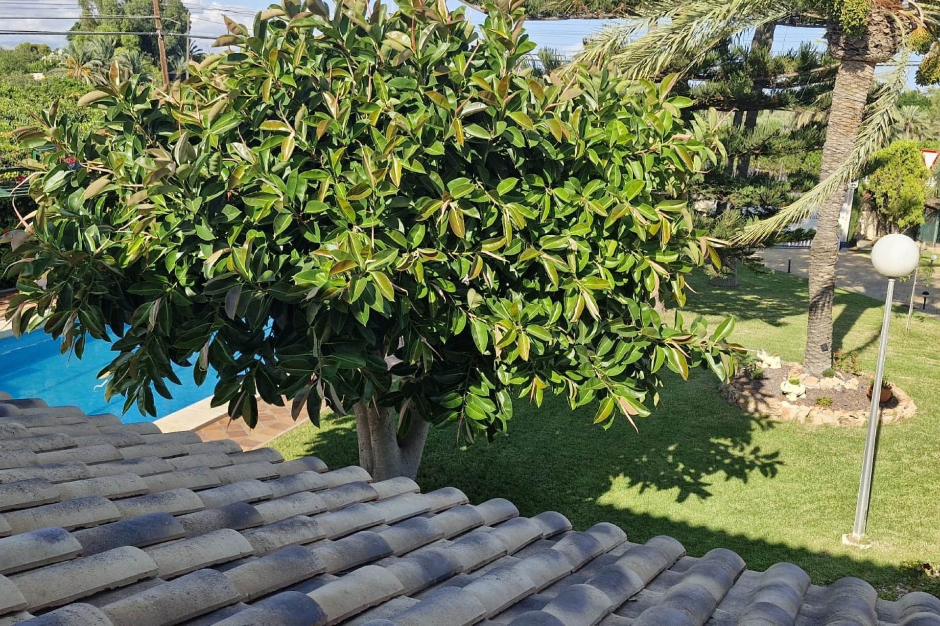 Herverkoop - Finca Landelijk pand -
Elche