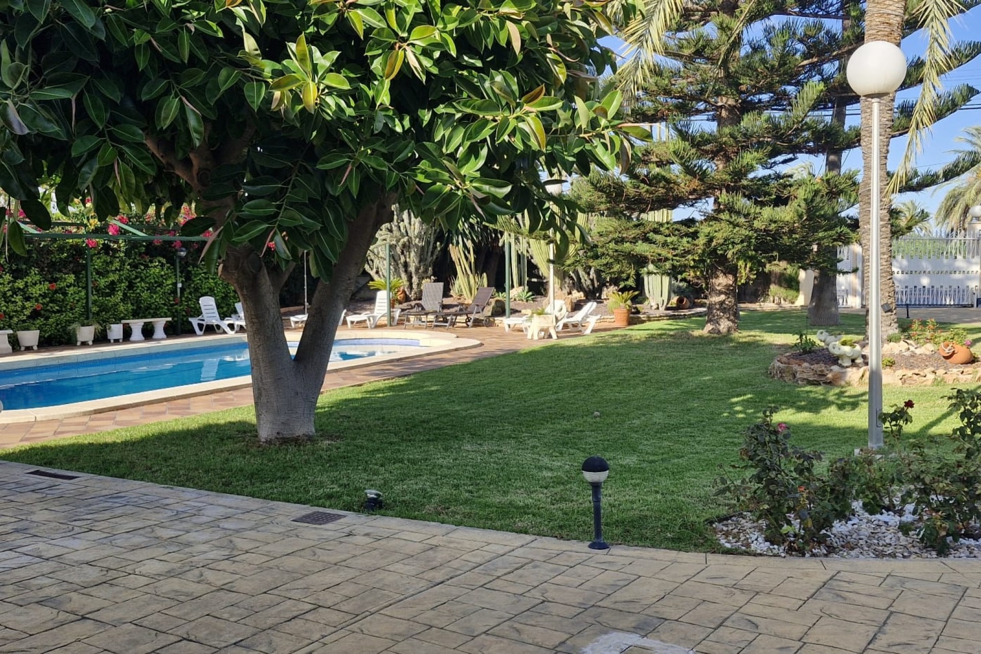 Herverkoop - Finca Landelijk pand -
Elche