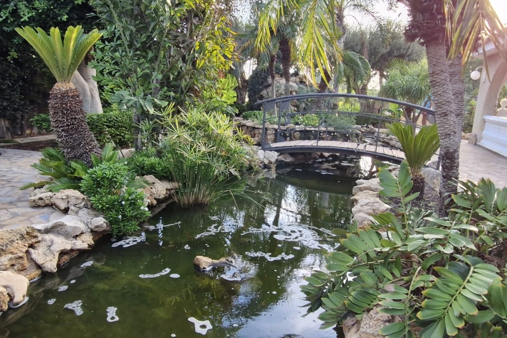 Herverkoop - Finca Landelijk pand -
Elche