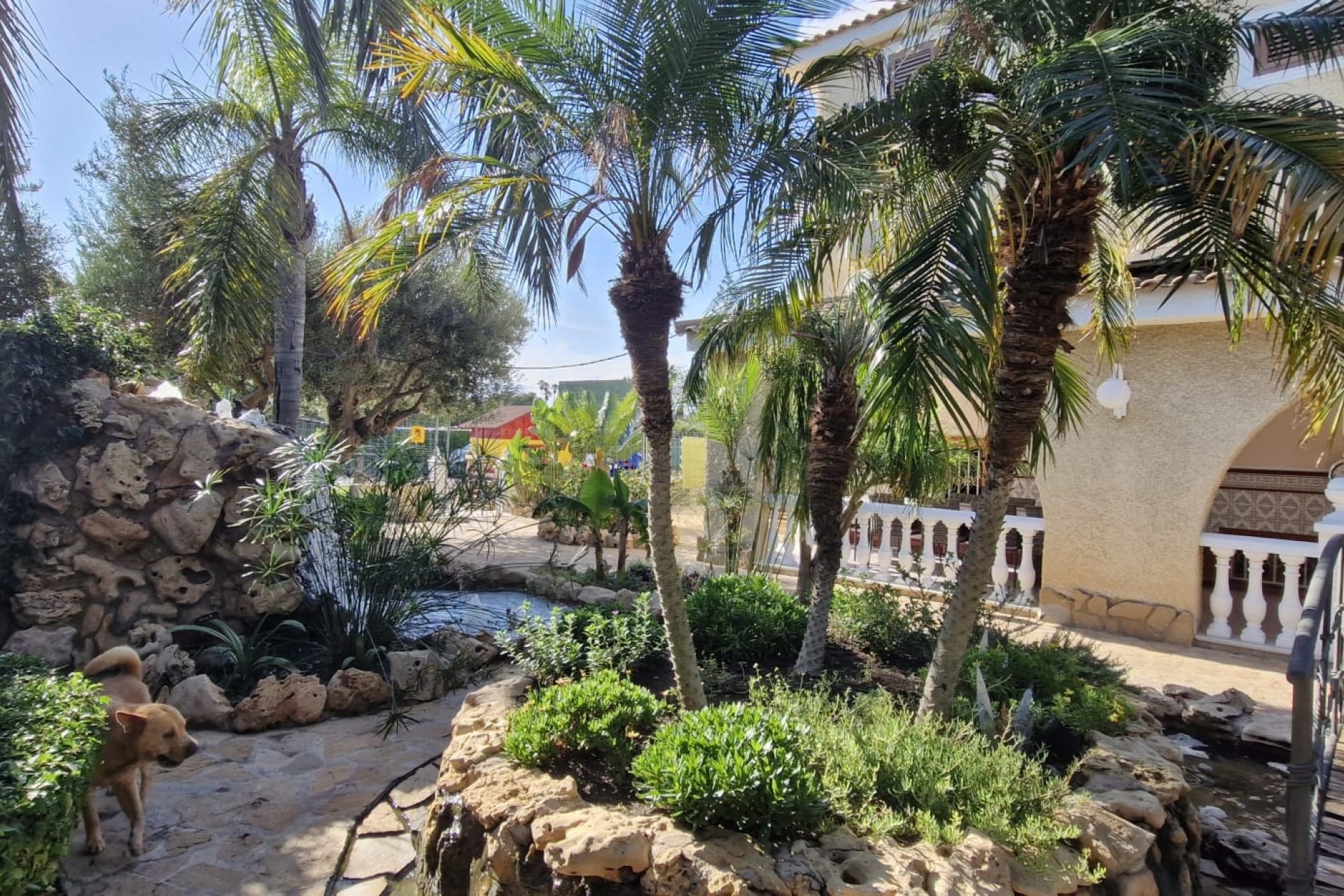 Herverkoop - Finca Landelijk pand -
Elche