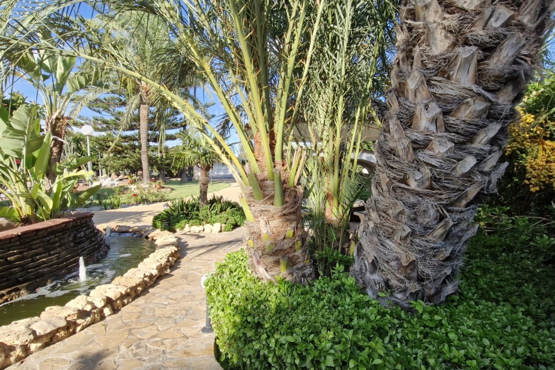 Herverkoop - Finca Landelijk pand -
Elche