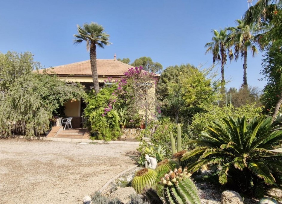 Herverkoop - Finca Landelijk pand -
Elche