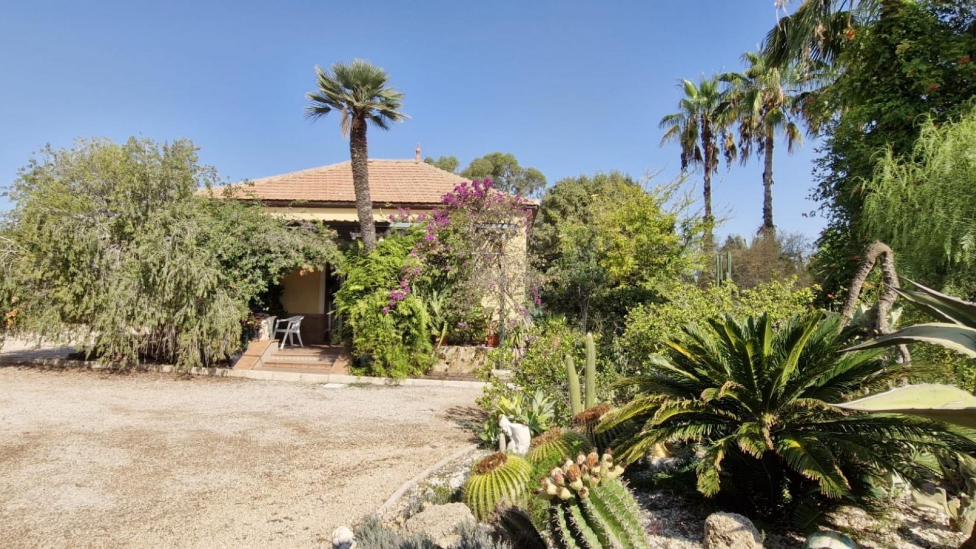 Herverkoop - Finca Landelijk pand -
Elche