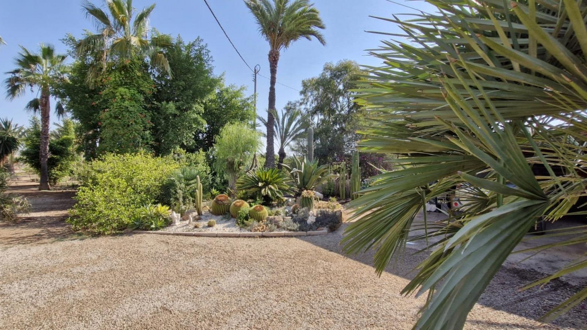 Herverkoop - Finca Landelijk pand -
Elche