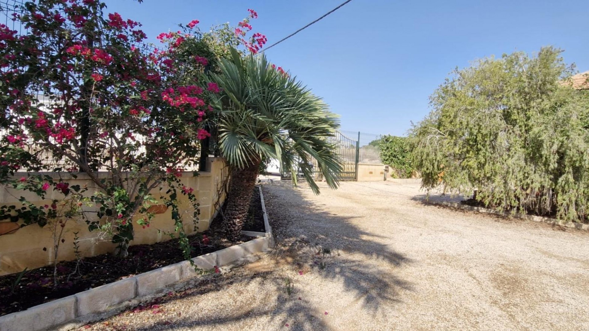 Herverkoop - Finca Landelijk pand -
Elche