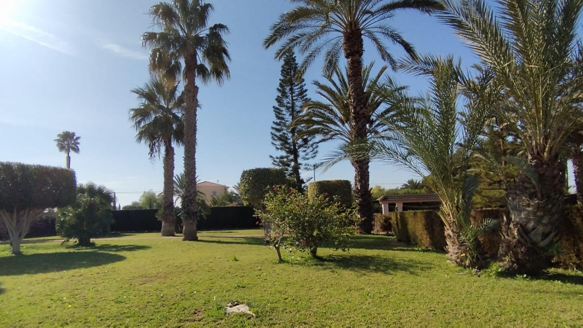 Herverkoop - Finca Landelijk pand -
Elche