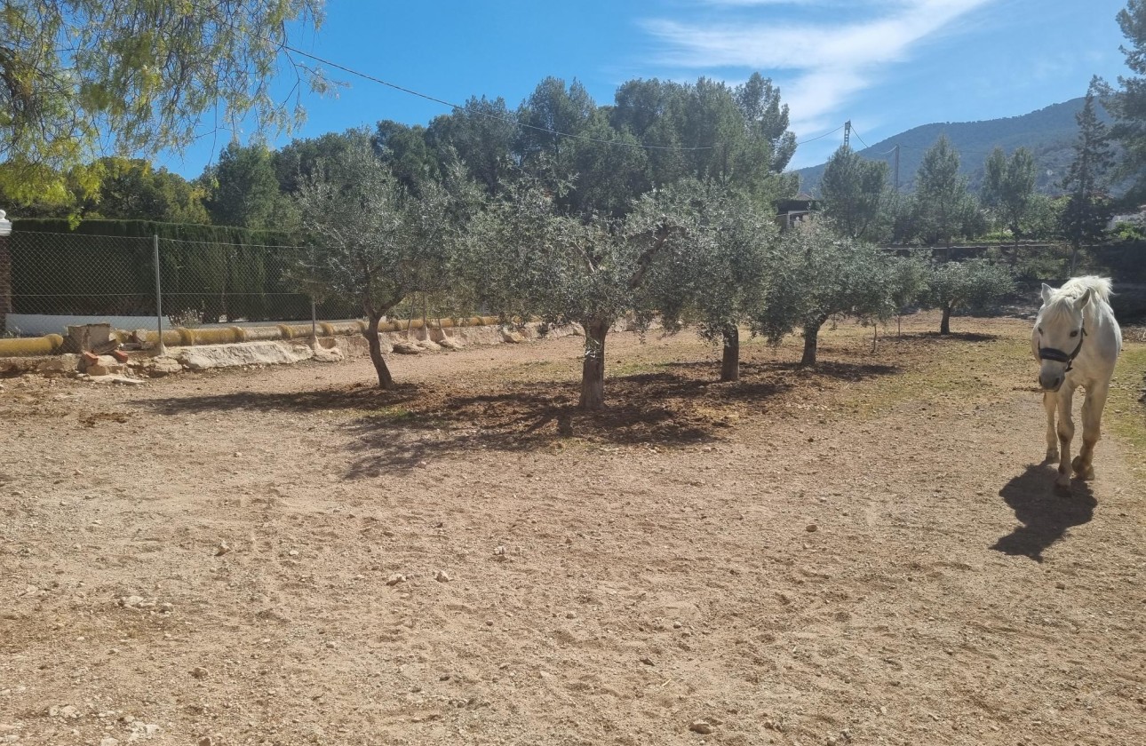 Herverkoop - Finca Landelijk pand -
Hondón de las Nieves