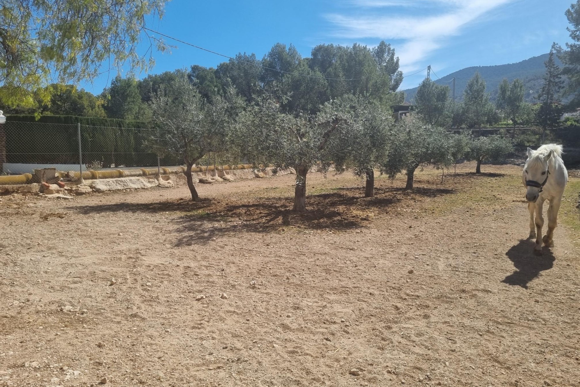 Herverkoop - Finca Landelijk pand -
Hondón de las Nieves