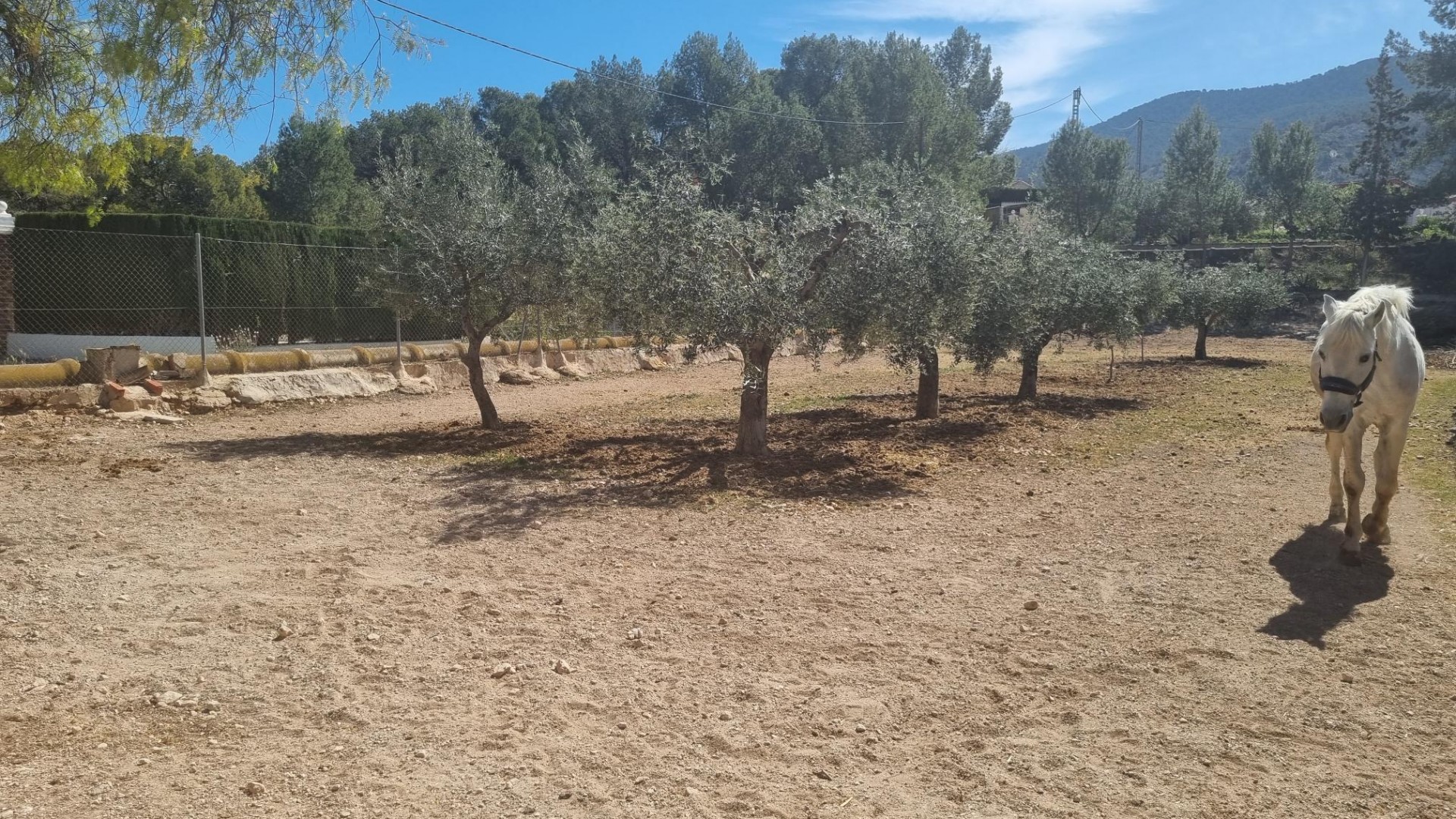 Herverkoop - Finca Landelijk pand -
Hondón de las Nieves