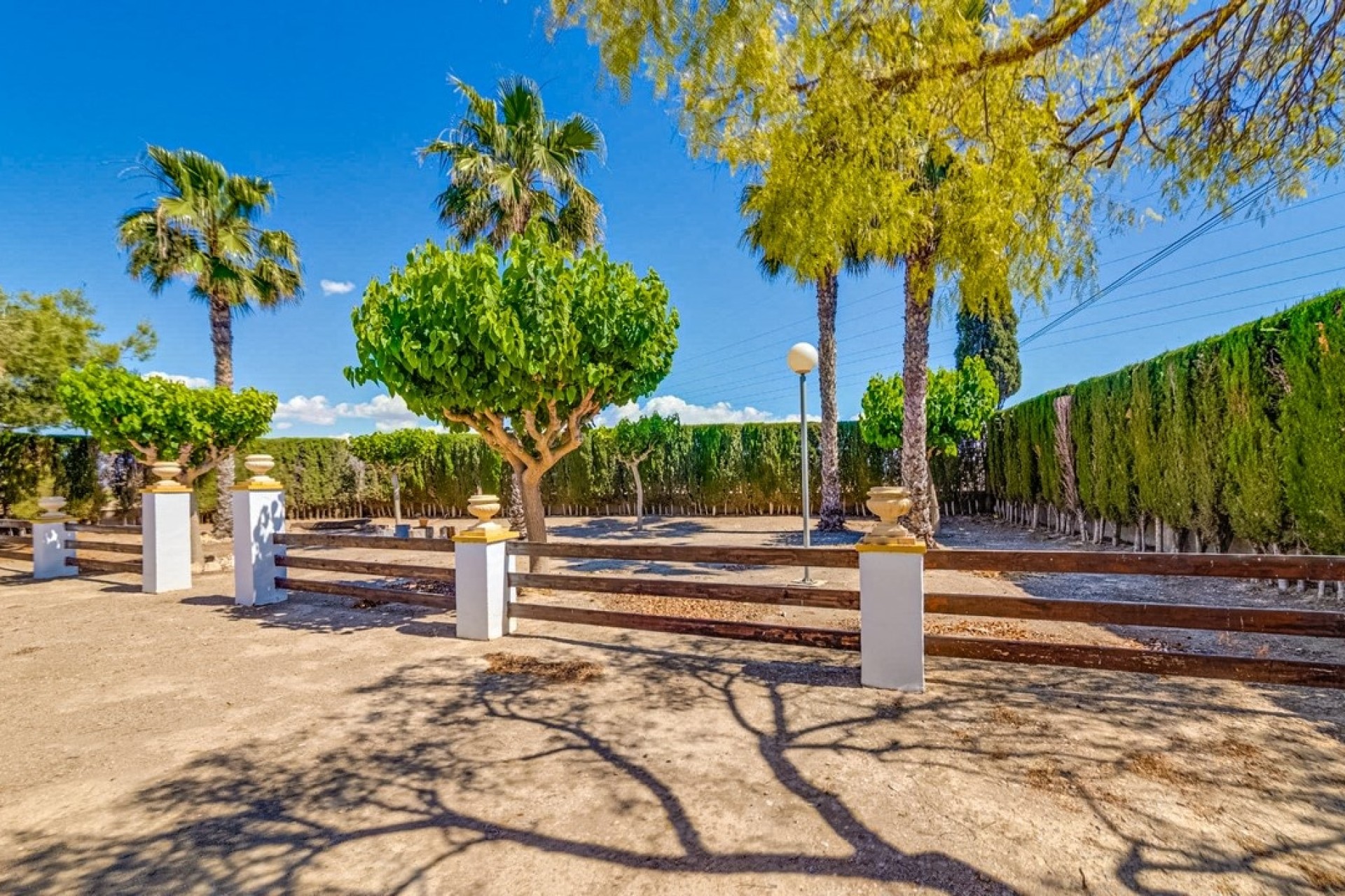 Herverkoop - Finca Landelijk pand -
Jacarilla