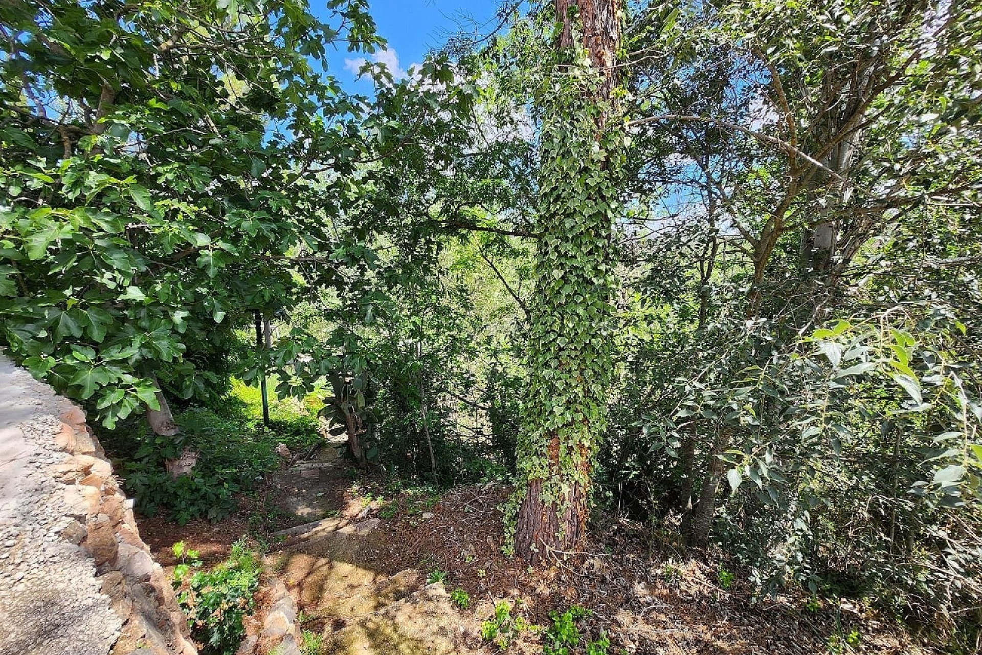 Herverkoop - Finca Landelijk pand -
Jalance