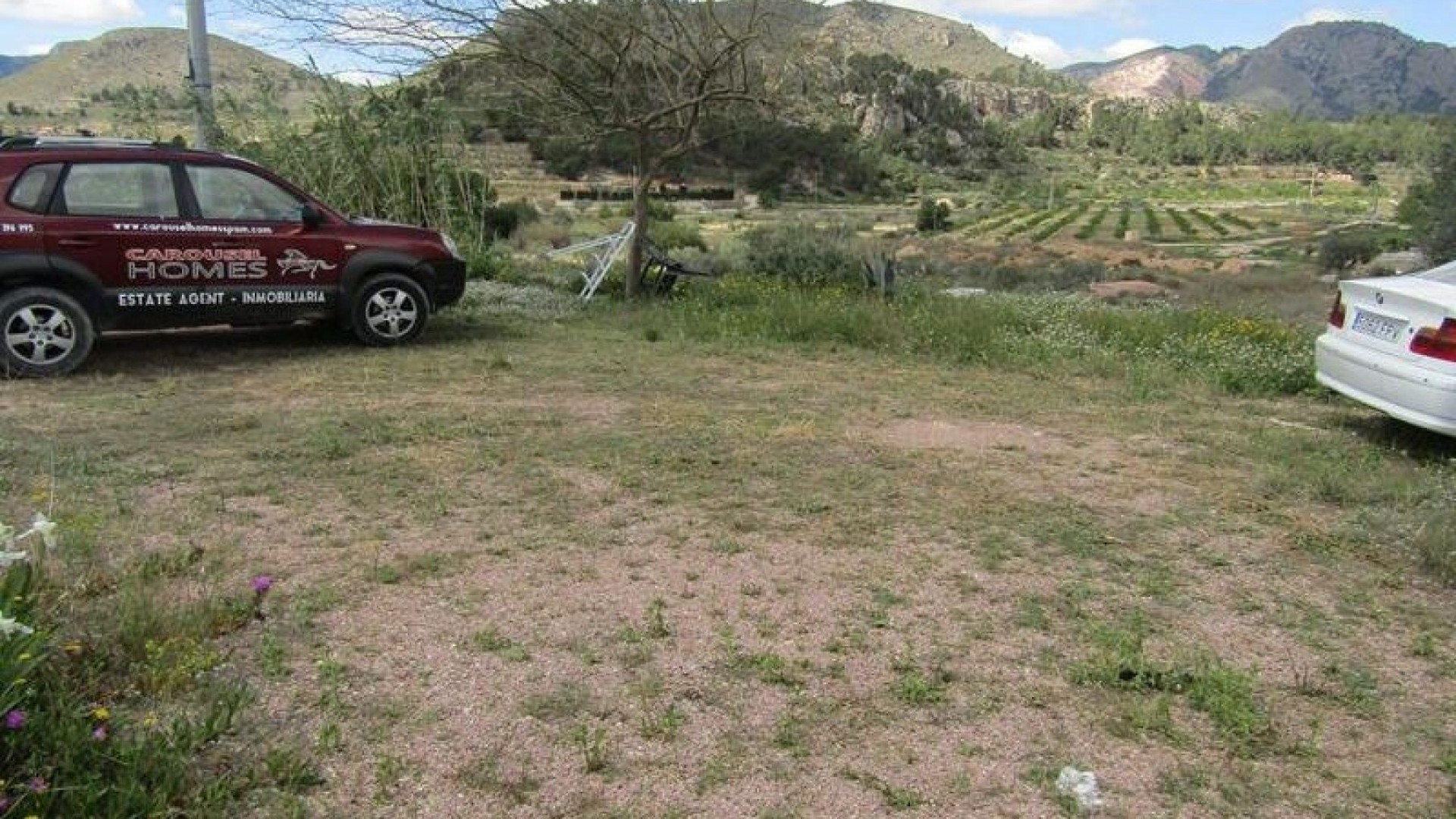 Herverkoop - Finca Landelijk pand -
La Romana